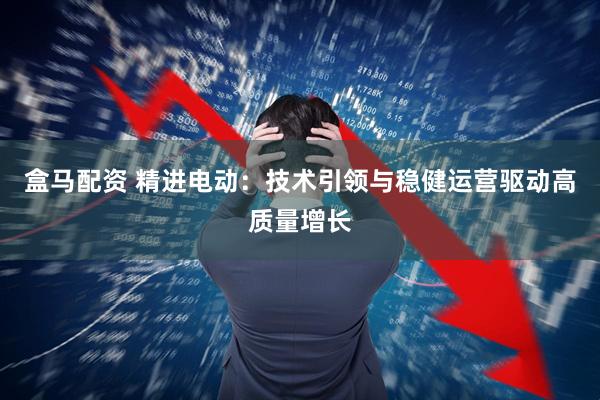 盒马配资 精进电动：技术引领与稳健运营驱动高质量增长