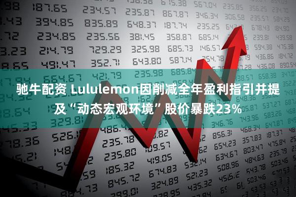 驰牛配资 Lululemon因削减全年盈利指引并提及“动态宏观环境”股价暴跌23%