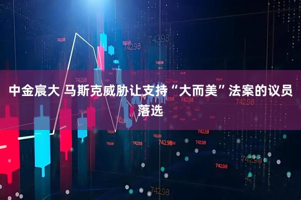 中金宸大 马斯克威胁让支持“大而美”法案的议员落选