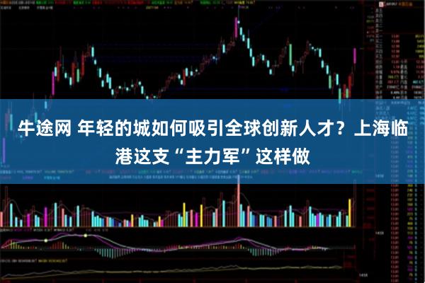 牛途网 年轻的城如何吸引全球创新人才？上海临港这支“主力军”这样做