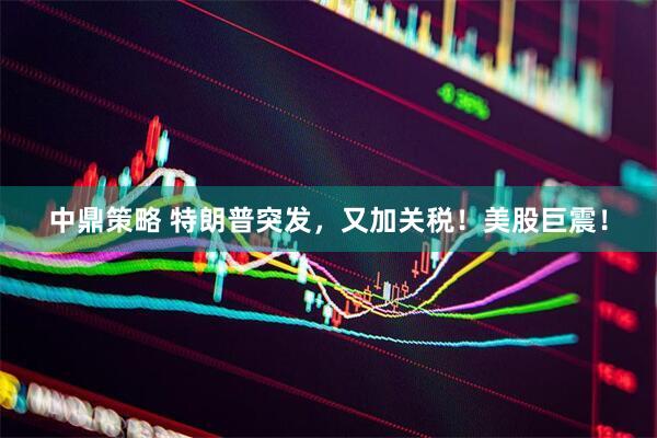 中鼎策略 特朗普突发，又加关税！美股巨震！