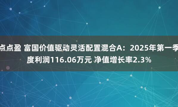 点点盈 富国价值驱动灵活配置混合A：2025年第一季度利润116.06万元 净值增长率2.3%