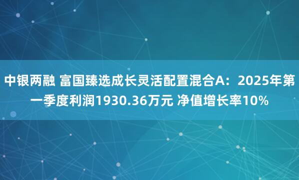 中银两融 富国臻选成长灵活配置混合A：2025年第一季度利润1930.36万元 净值增长率10%