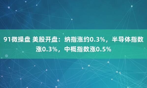 91微操盘 美股开盘：纳指涨约0.3%，半导体指数涨0.3%，中概指数涨0.5%