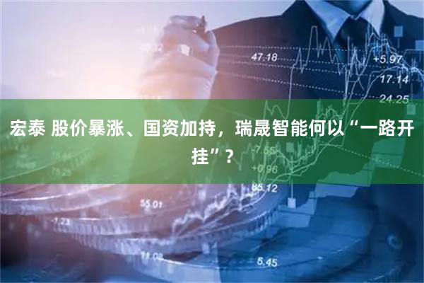 宏泰 股价暴涨、国资加持，瑞晟智能何以“一路开挂”？