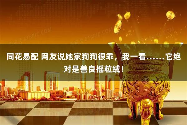 同花易配 网友说她家狗狗很乖，我一看……它绝对是善良摇粒绒！